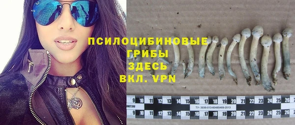 амф Майский
