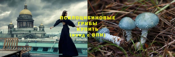 амф Майский